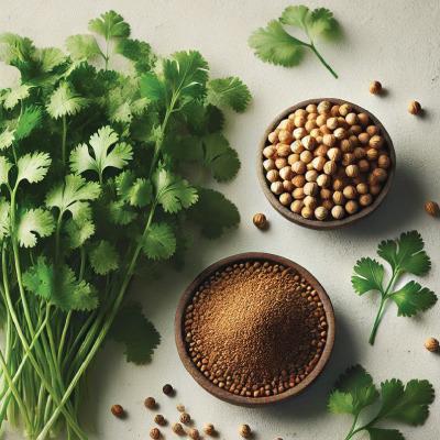 تخم گشنیز (Coriander Seed)